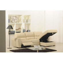 Living Room Genuine Leather Sofa (875)